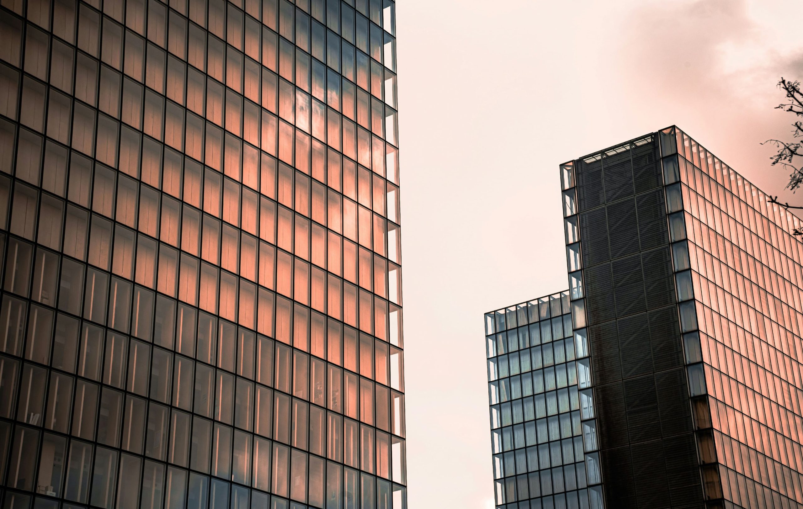 hugo delauney fehiolsuj8o unsplash (1) (1)